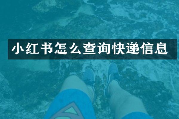 小红书怎么查询快递信息