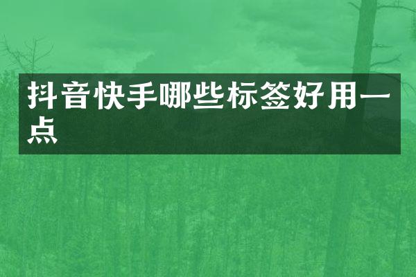 抖音快手哪些标签好用一点