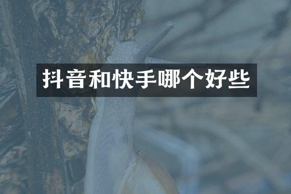 抖音和快手哪个好些