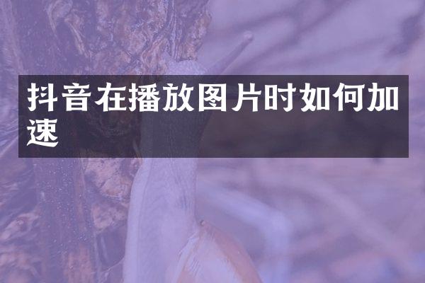 抖音在播放图片时如何加速