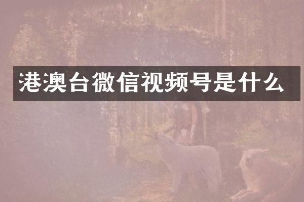 港澳台微信视频号是什么