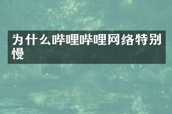 为什么哔哩哔哩网络特别慢