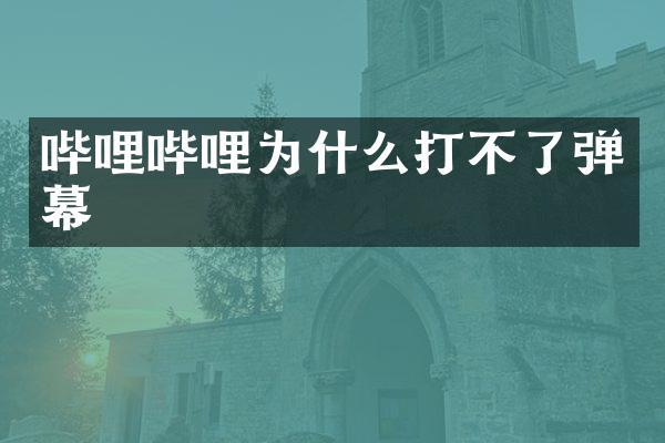 哔哩哔哩为什么打不了弹幕