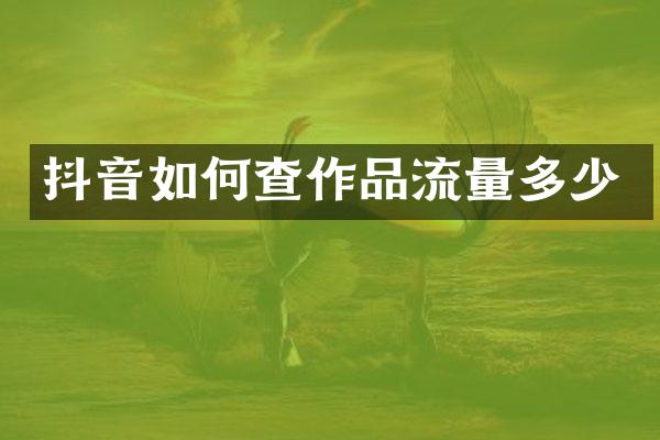 抖音如何查作品流量多少