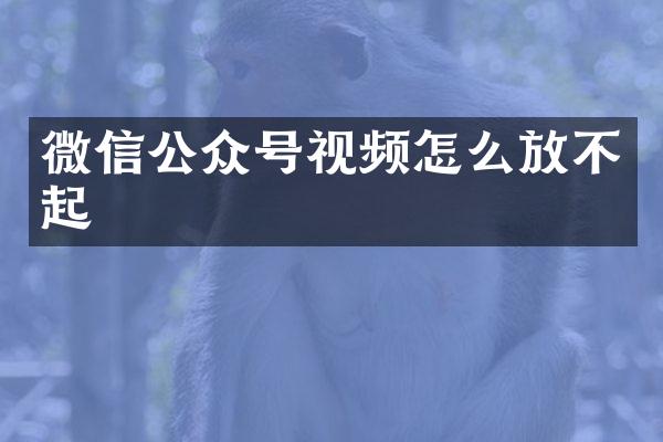 微信公众号视频怎么放不起