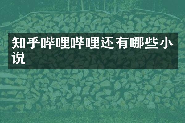 知乎哔哩哔哩还有哪些小说