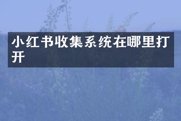 小红书收集系统在哪里打开