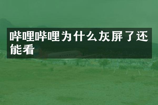 哔哩哔哩为什么灰屏了还能看