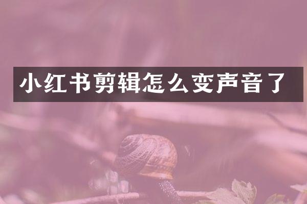 小红书剪辑怎么变声音了