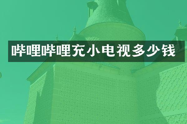 哔哩哔哩充小电视多少钱
