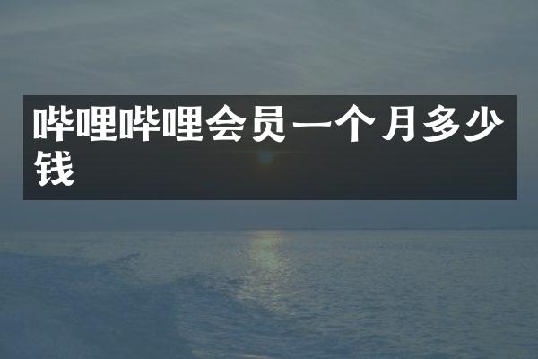 哔哩哔哩会员一个月多少钱