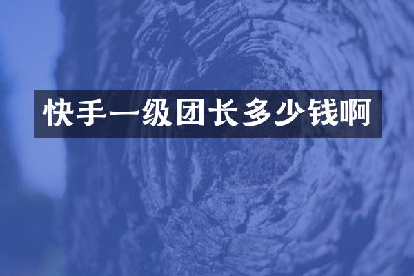 快手一级团长多少钱啊