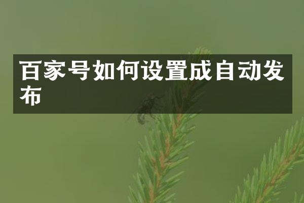 百家号如何设置成自动发布