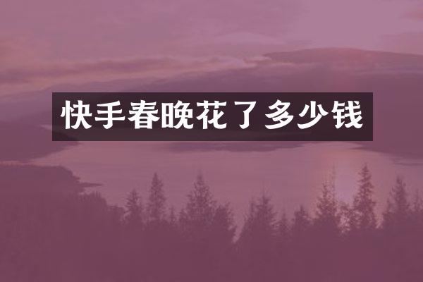 快手花了多少钱