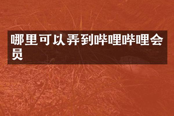 哪里可以弄到哔哩哔哩会员