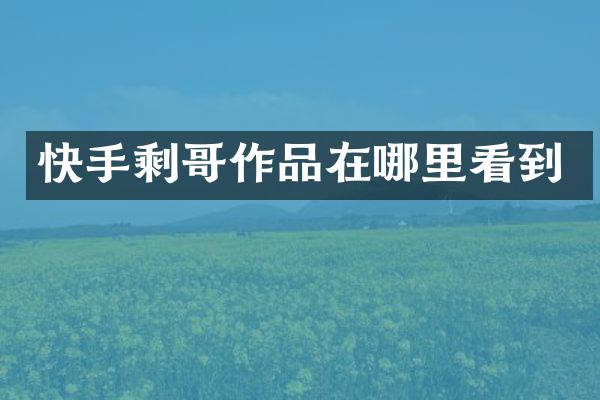 快手剩哥作品在哪里看到