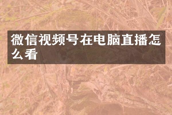 微信视频号在电脑直播怎么看