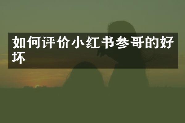 如何评价小红书参哥的好坏