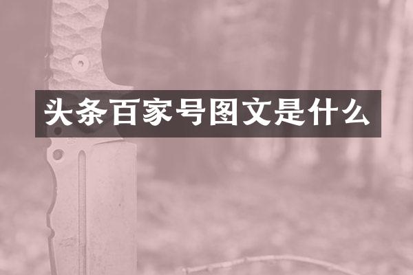 头条百家号图文是什么