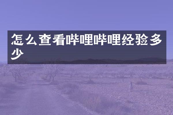 怎么查看哔哩哔哩经验多少