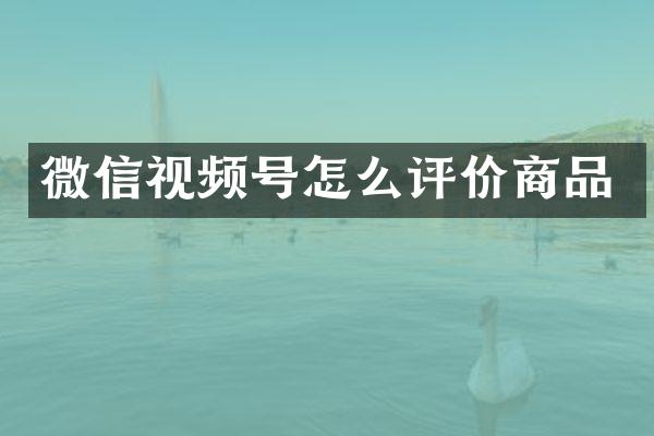 微信视频号怎么评价商品