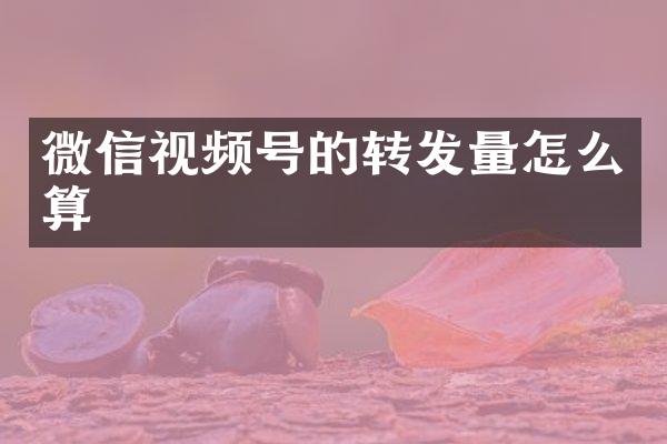 微信视频号的转发量怎么算