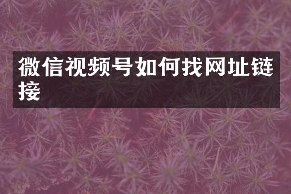 微信视频号如何找网址链接