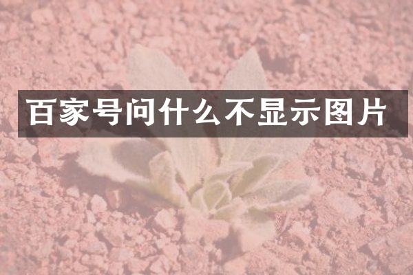 百家号问什么不显示图片