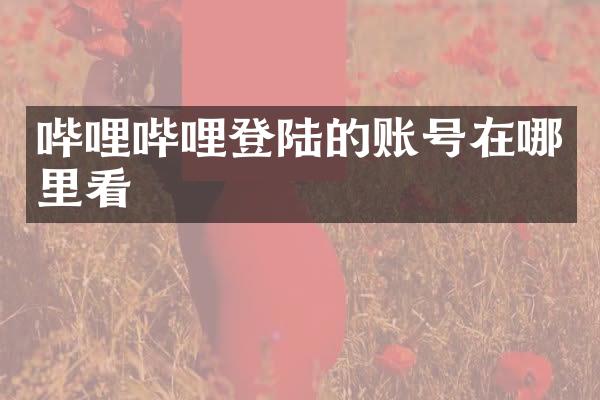 哔哩哔哩登陆的账号在哪里看