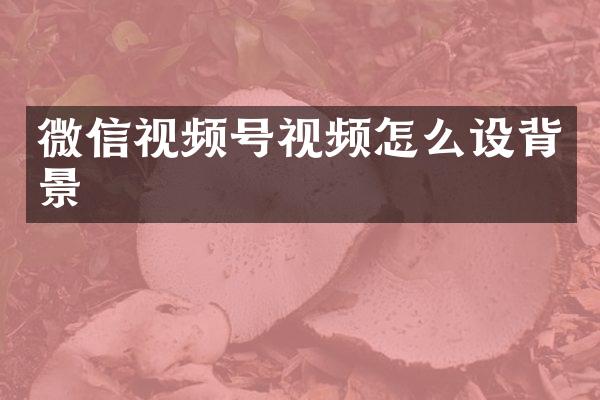 微信视频号视频怎么设背景