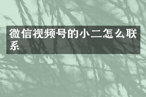 微信视频号的小二怎么联系
