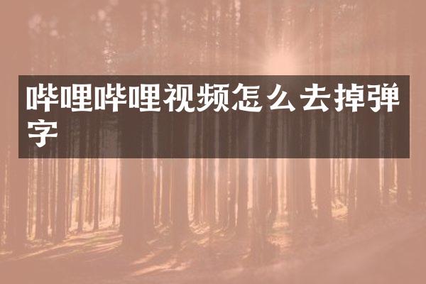 哔哩哔哩视频怎么去掉弹字