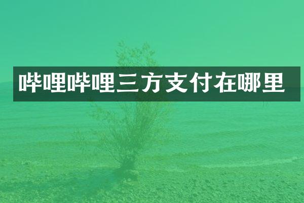 哔哩哔哩三方支付在哪里