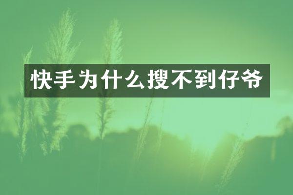 快手为什么搜不到仔爷