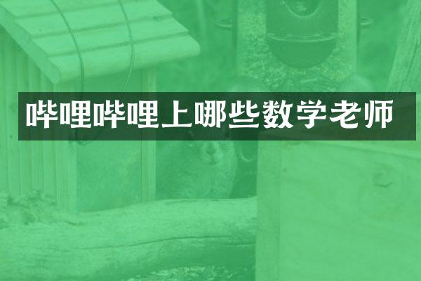 哔哩哔哩上哪些数学老师