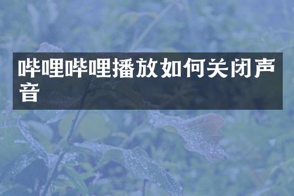 哔哩哔哩播放如何关闭声音