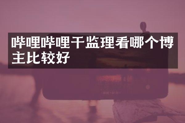 哔哩哔哩干监理看哪个博主比较好