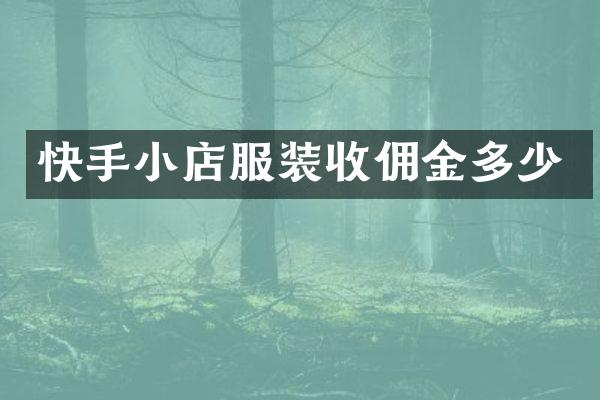 快手小店服装收佣金多少
