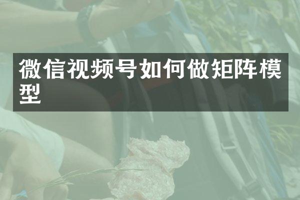 微信视频号如何做矩阵模型