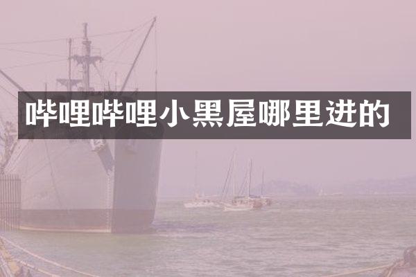 哔哩哔哩小黑屋哪里进的