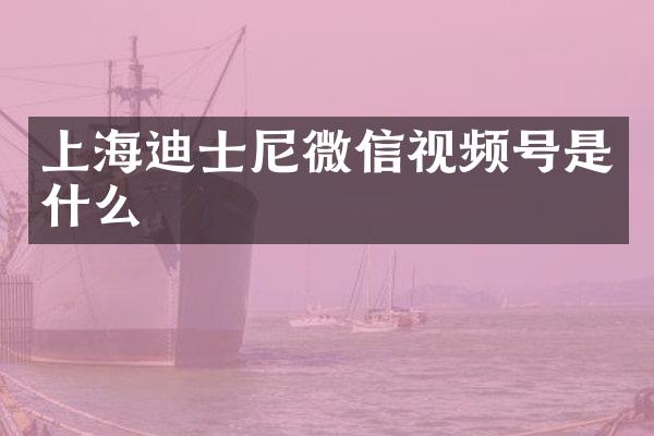 上海迪士尼微信视频号是什么