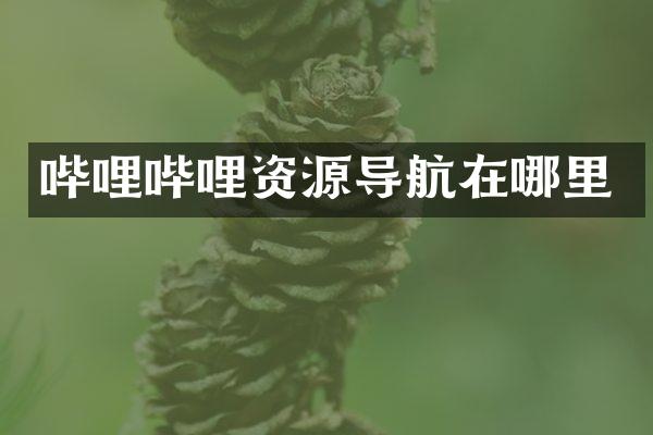 哔哩哔哩资源导航在哪里