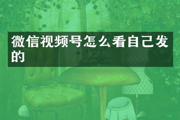 微信视频号怎么看自己发的