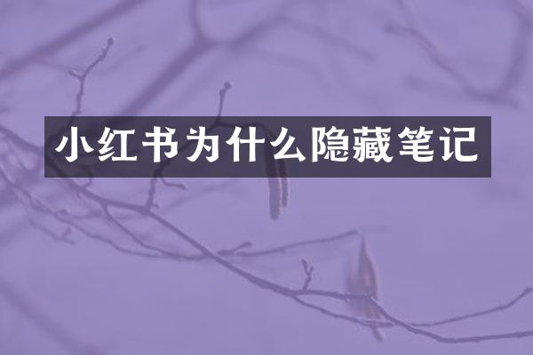 小红书为什么隐藏笔记