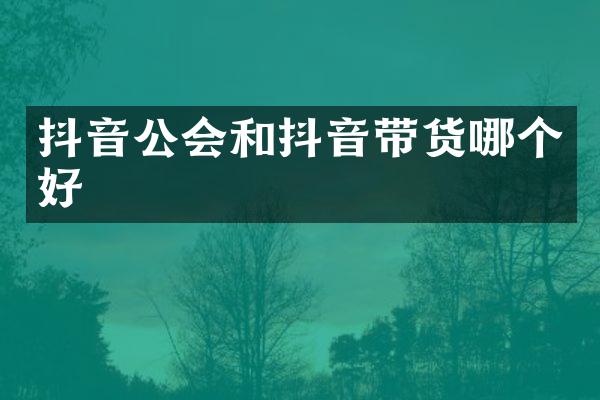 抖音公会和抖音带货哪个好