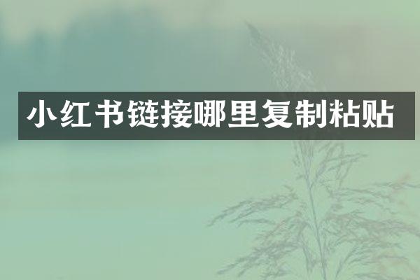 小红书链接哪里复制粘贴