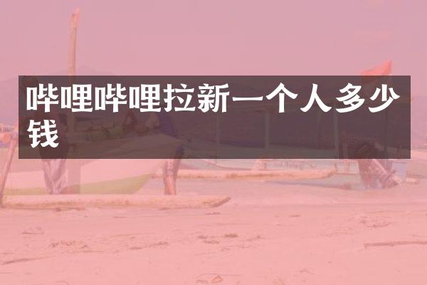 哔哩哔哩拉新一个人多少钱