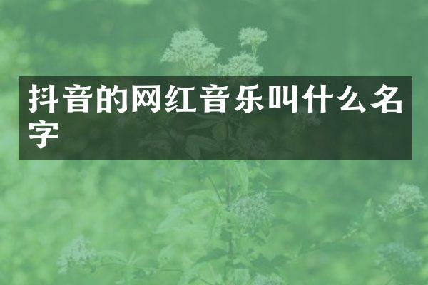 抖音的网红音乐叫什么名字