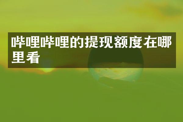 哔哩哔哩的提现额度在哪里看