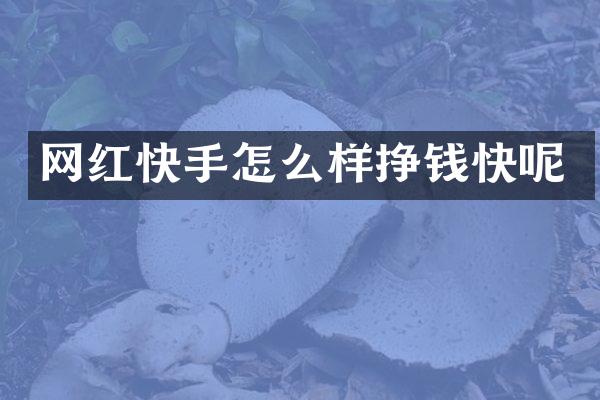 网红快手怎么样挣钱快呢